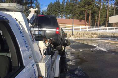 Expert Algona SUV towing in WA near 98001